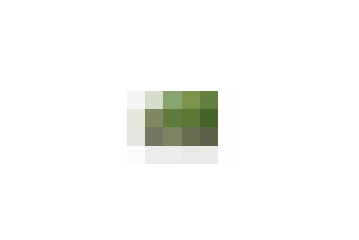  / #6