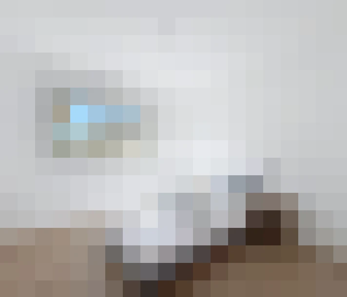  / #15