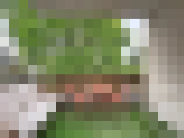  / #13