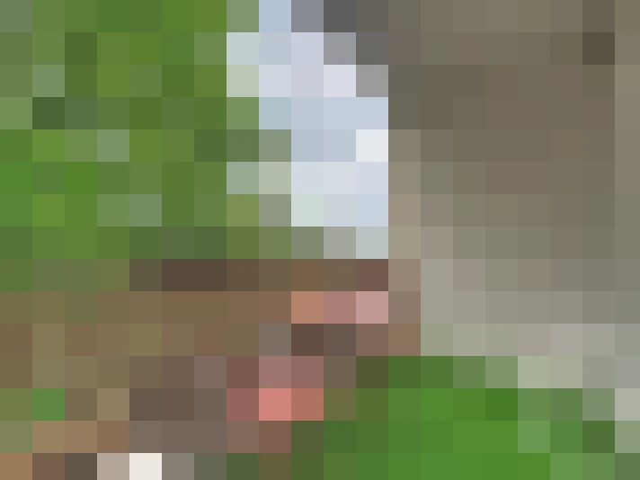  / #12