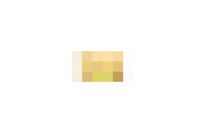  / #16