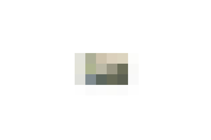  / #24