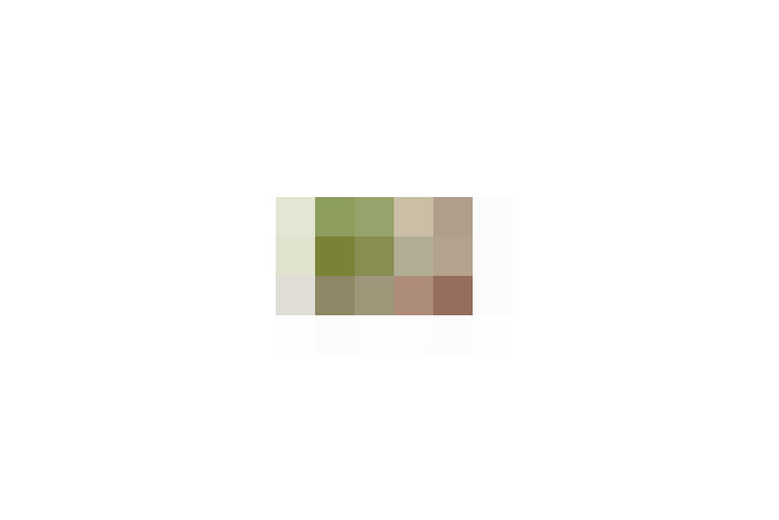  / #9