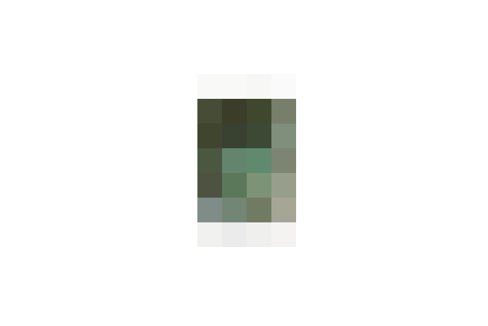  / #16