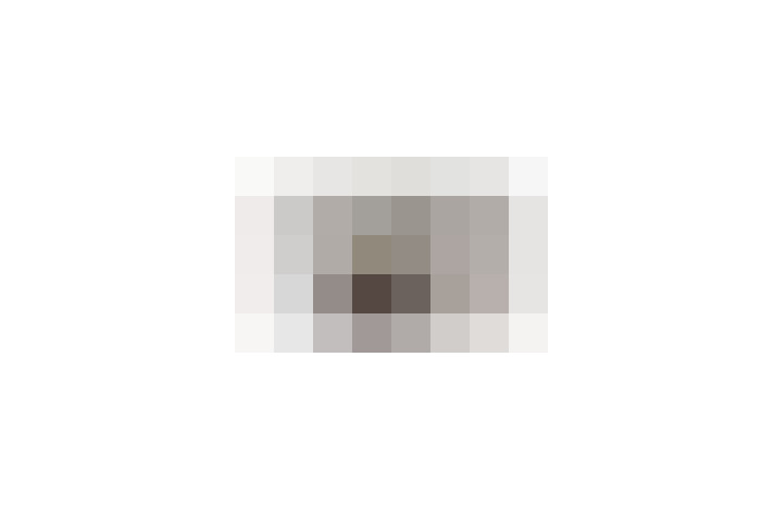  / #17