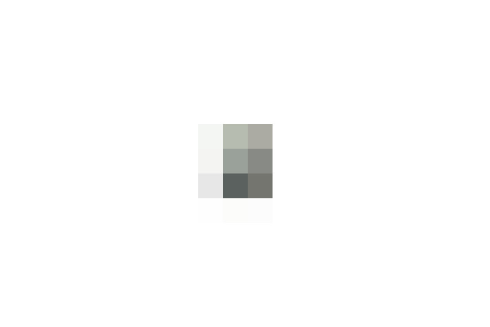  / #19