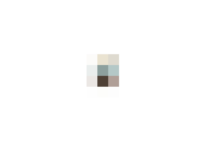  / #19