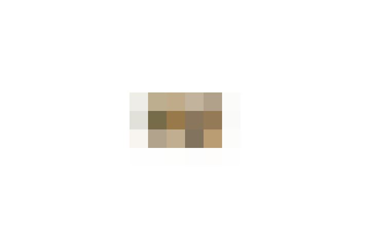  / #11