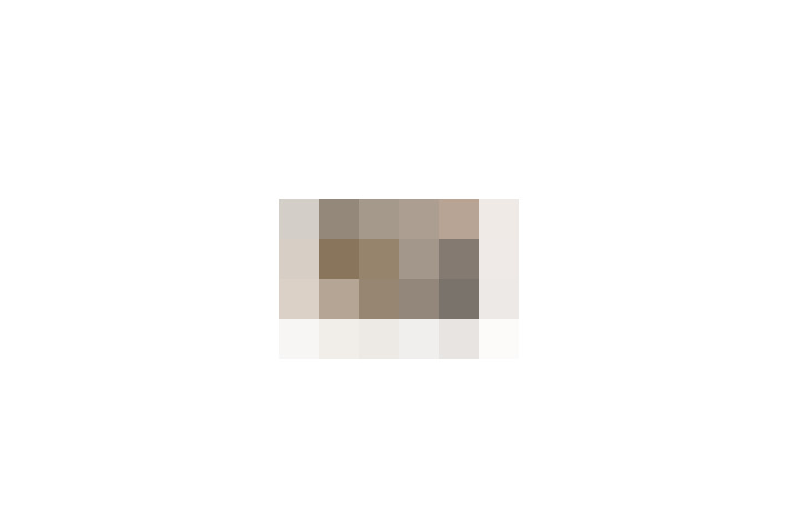  / #11