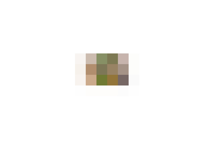  / #17