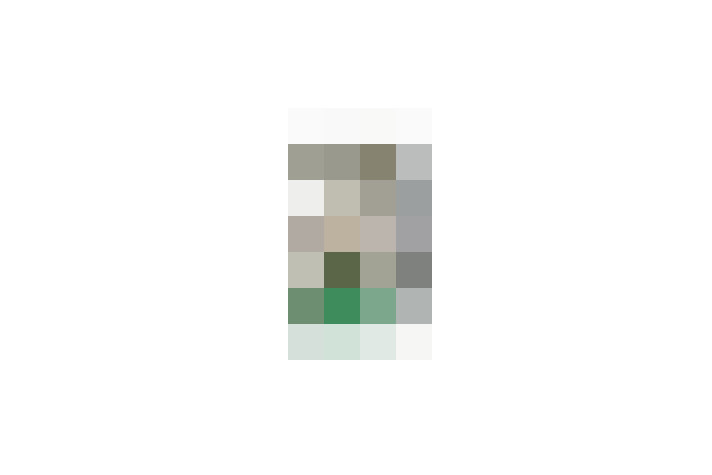  / #17