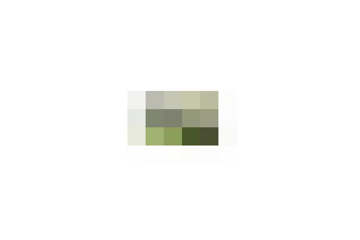  / #11