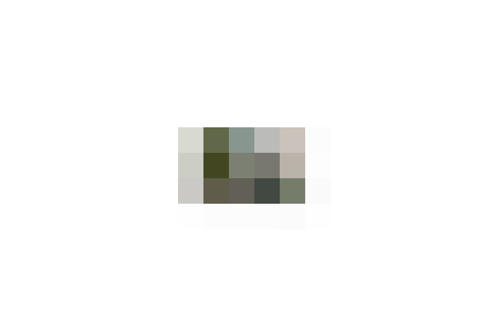  / #12