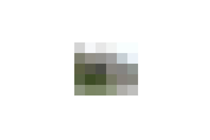  / #13