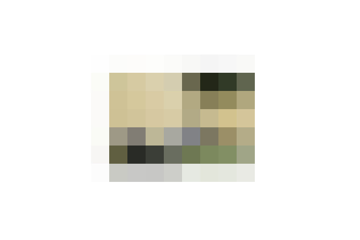  / #20