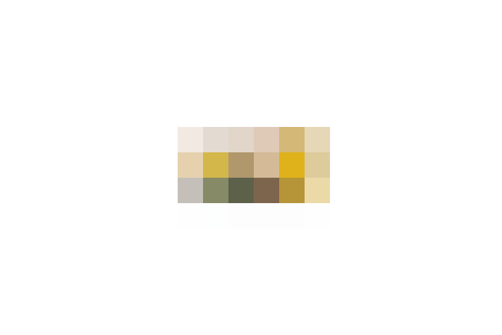  / #11