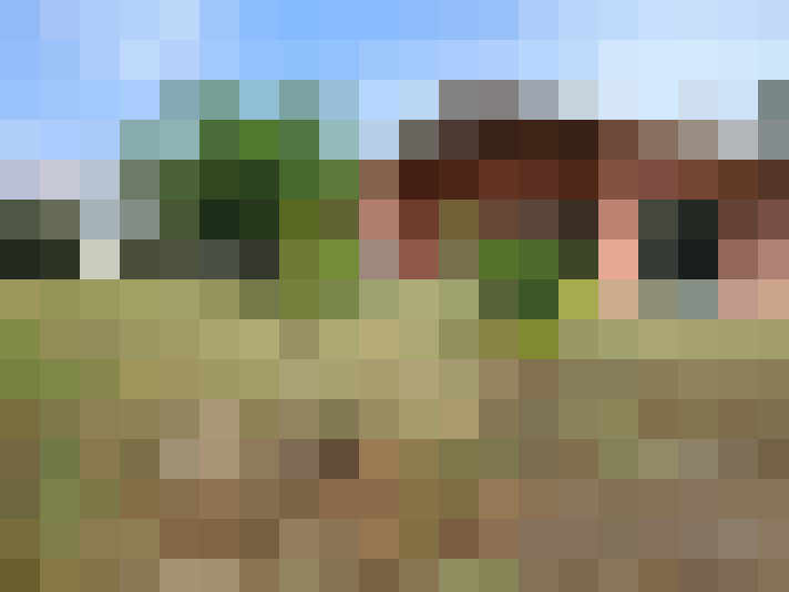  / #9