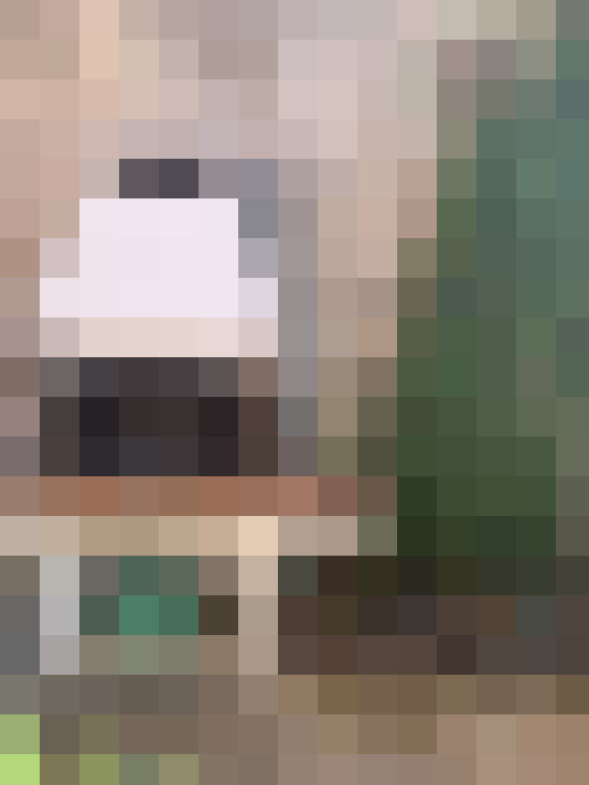  / #11