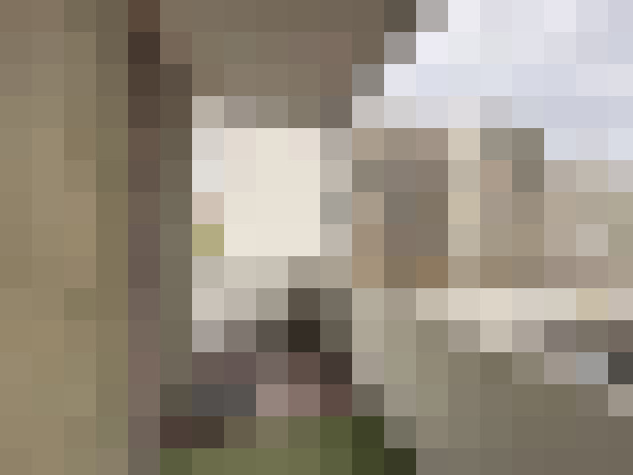  / #11