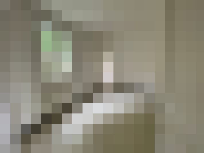  / #7