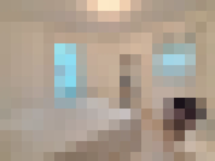  / #5
