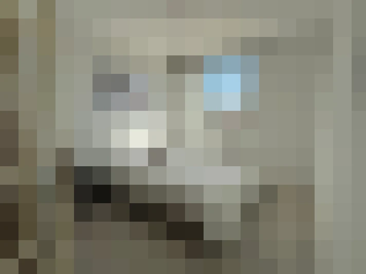  / #7