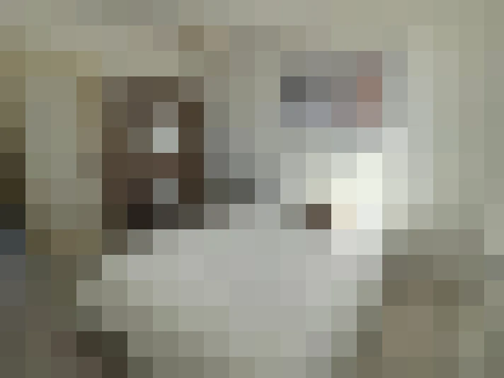  / #8