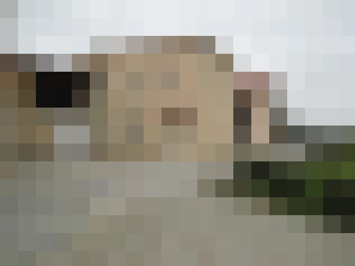  / #6