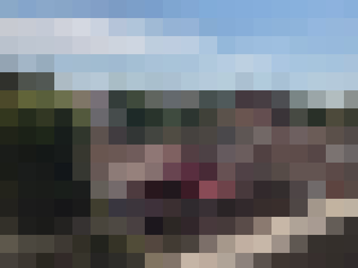  / #61
