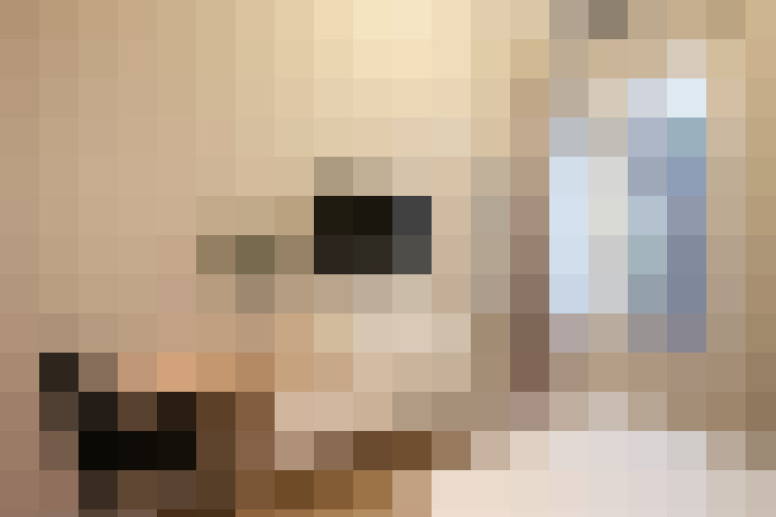  / #8