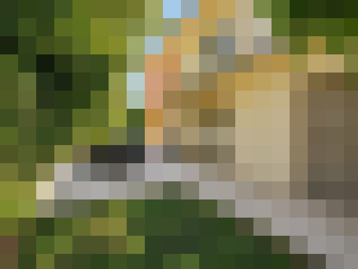  / #15