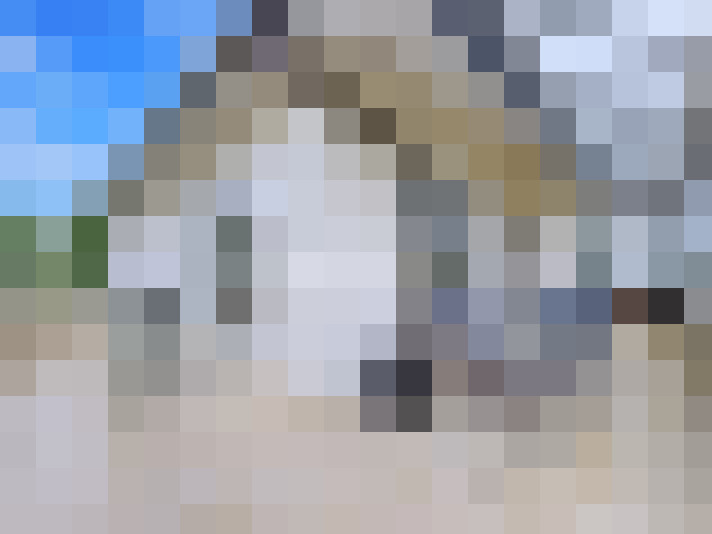  / #15