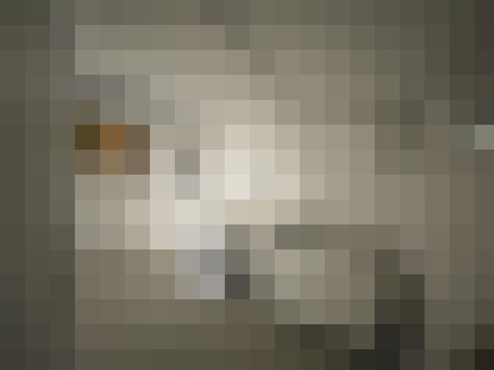  / #11