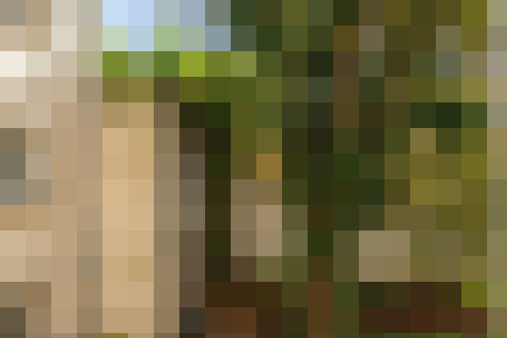  / #16