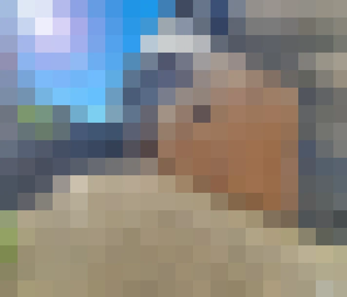  / #8