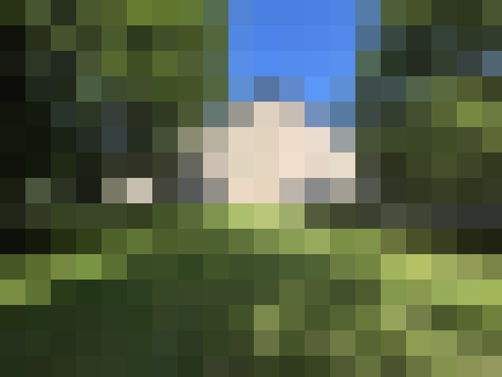  / #7