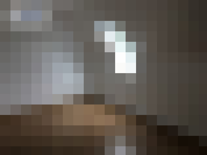  / #8