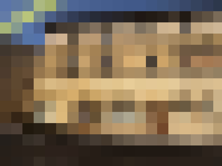  / #6