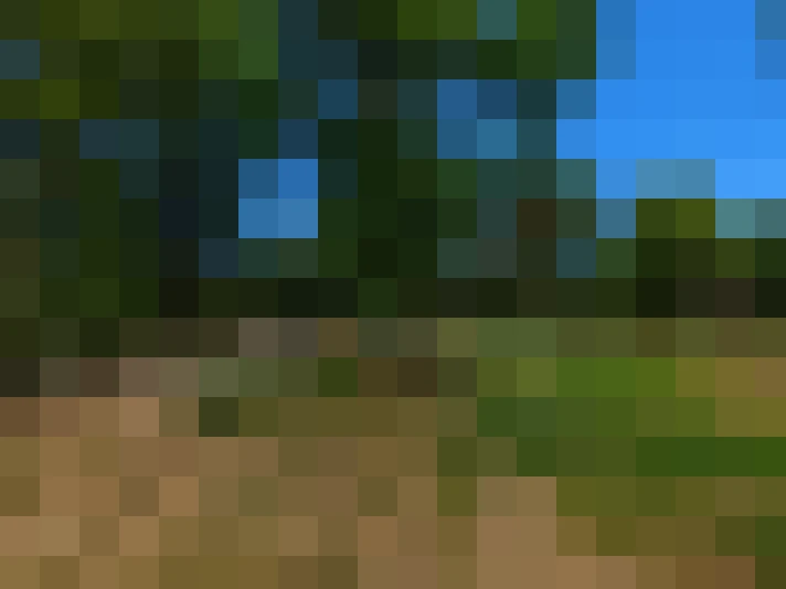  / #9