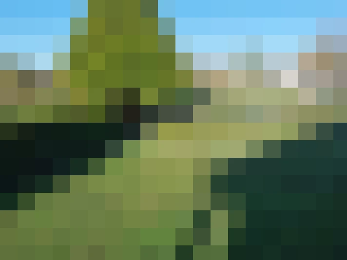  / #9