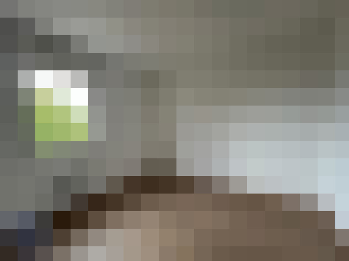  / #6