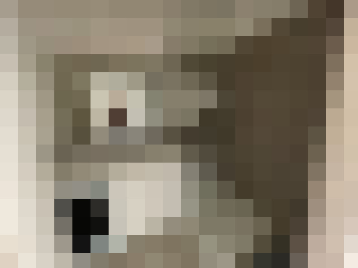  / #5