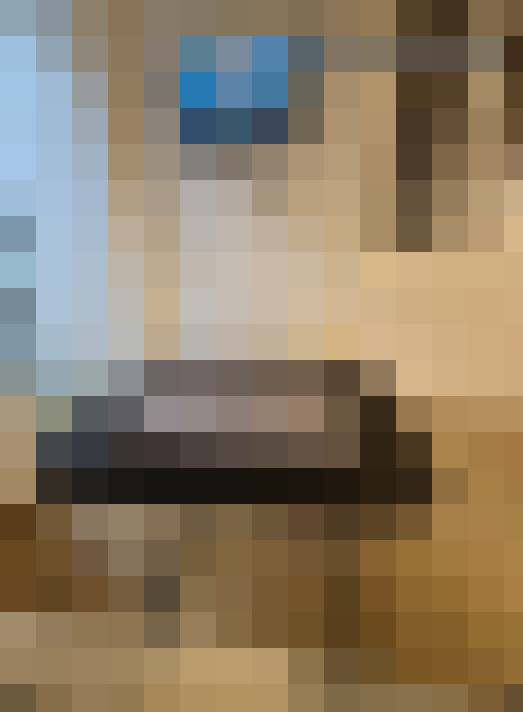  / #13
