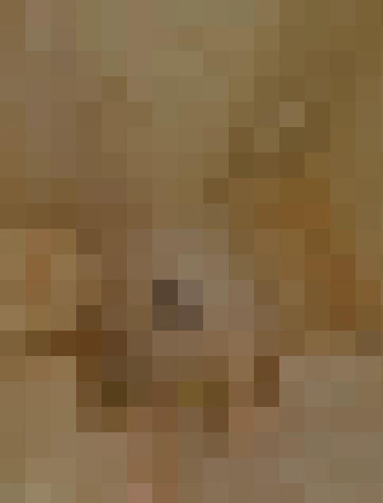  / #5