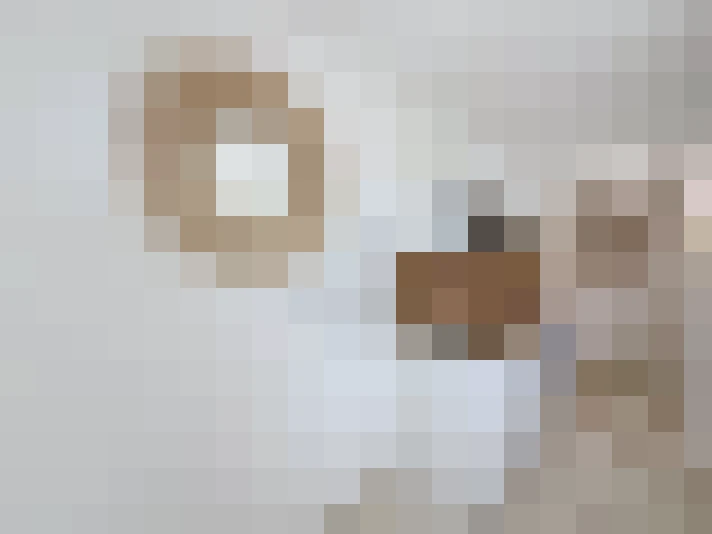  / #5