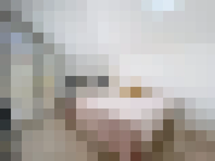  / #17