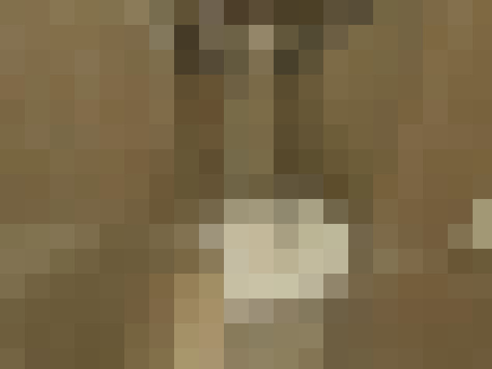  / #10