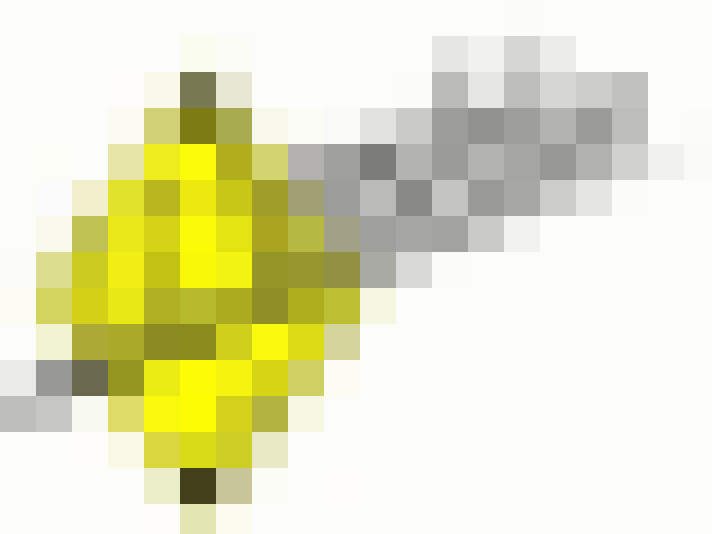  / #5