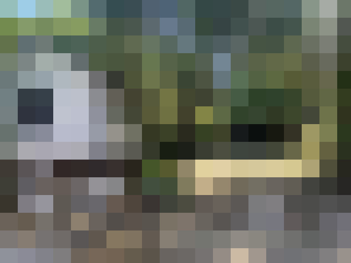  / #17