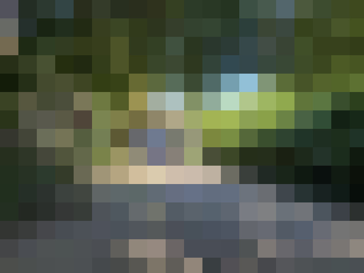  / #15